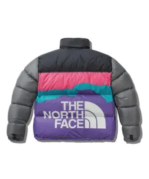 The North Face x Invincible 1996 Retro Nuptse Jacket-20246227