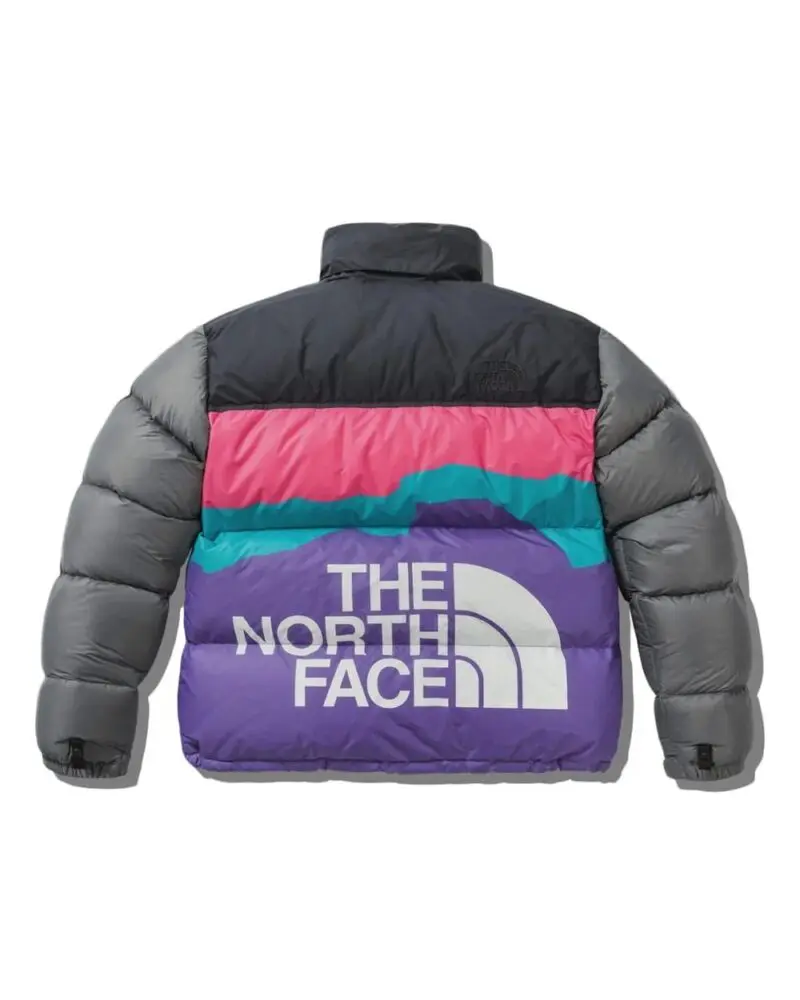 The North Face x Invincible 1996 Retro Nuptse Jacket-20246228
