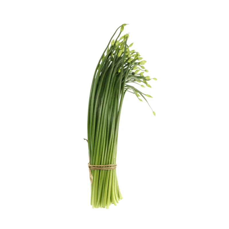 Garlic chives with flower 1 lb