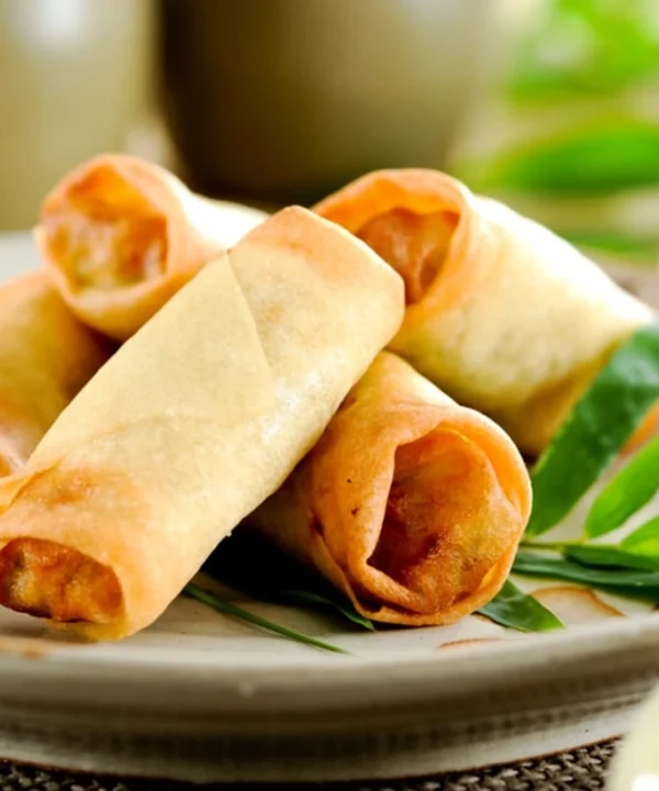 V1618827610 tofu spring rolls rh1cfm