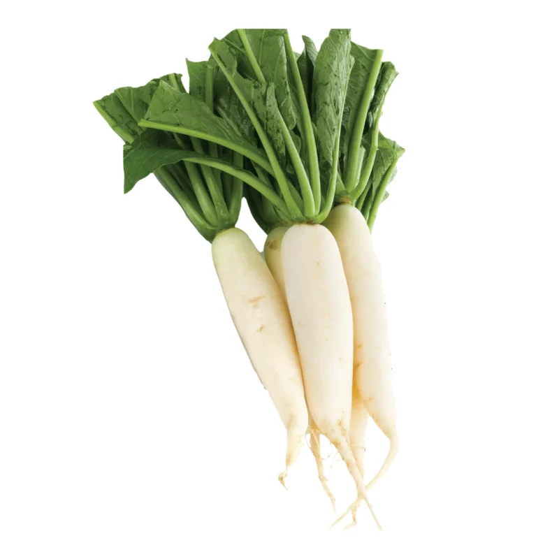 Sweet chinese white radish 2 lb - image 2