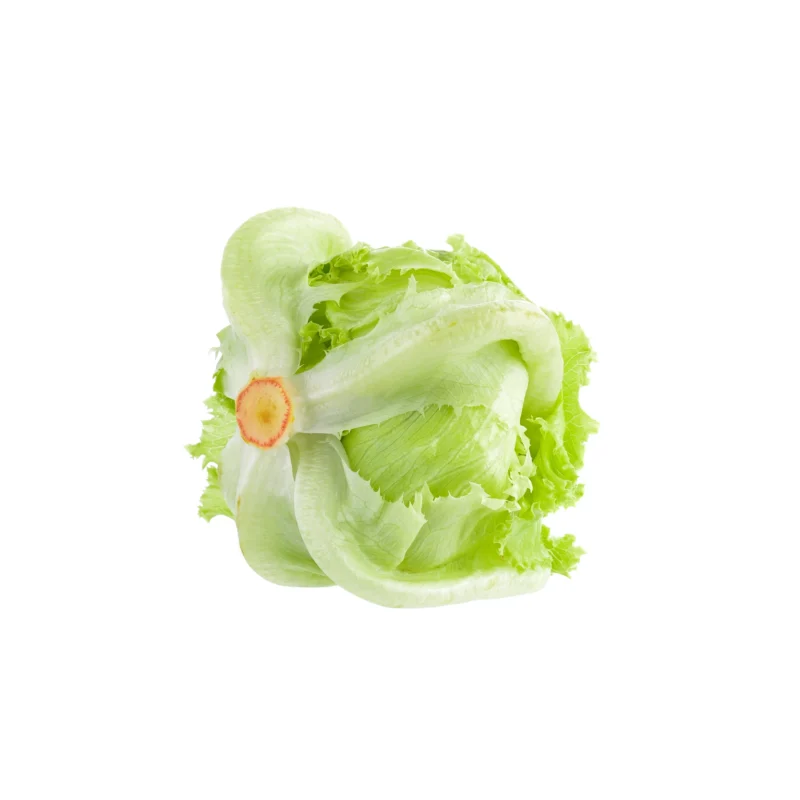 Organic iceberg lettuce 1 each