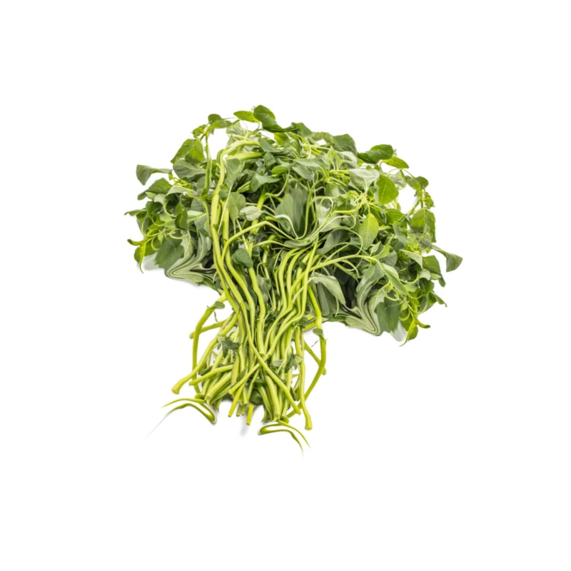 Green shen choy 2 lb - image 2