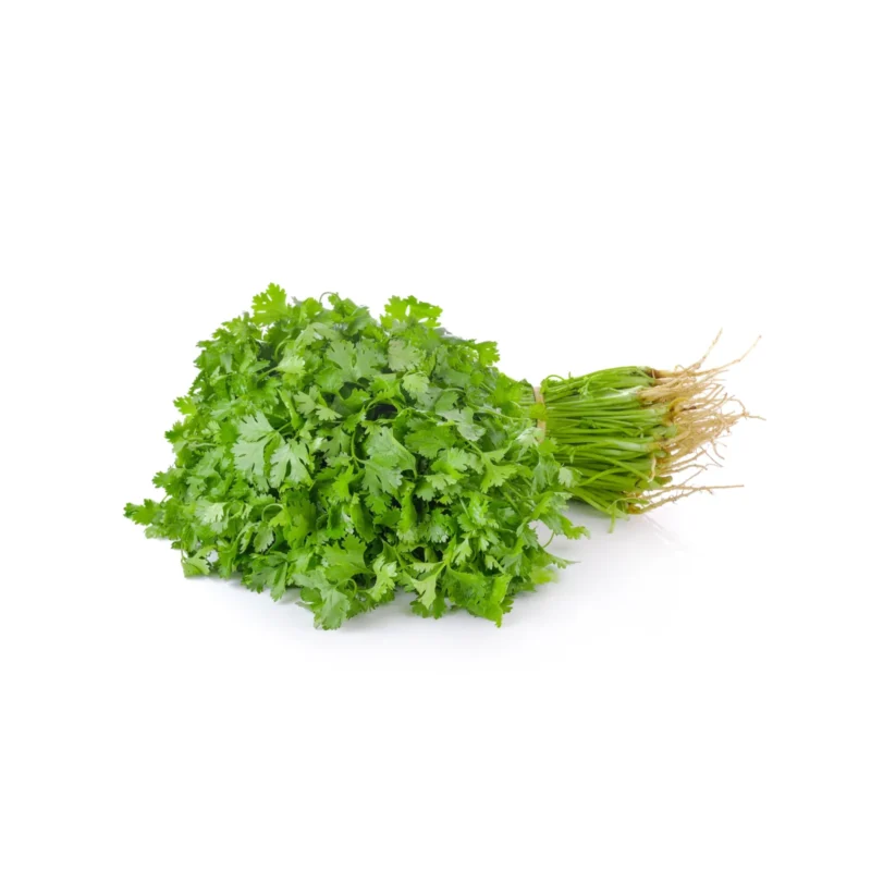 Cilantro 1 bunch