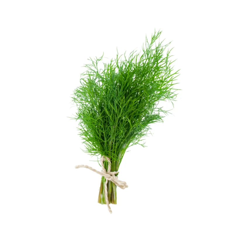 Fresh dill 1 bunch