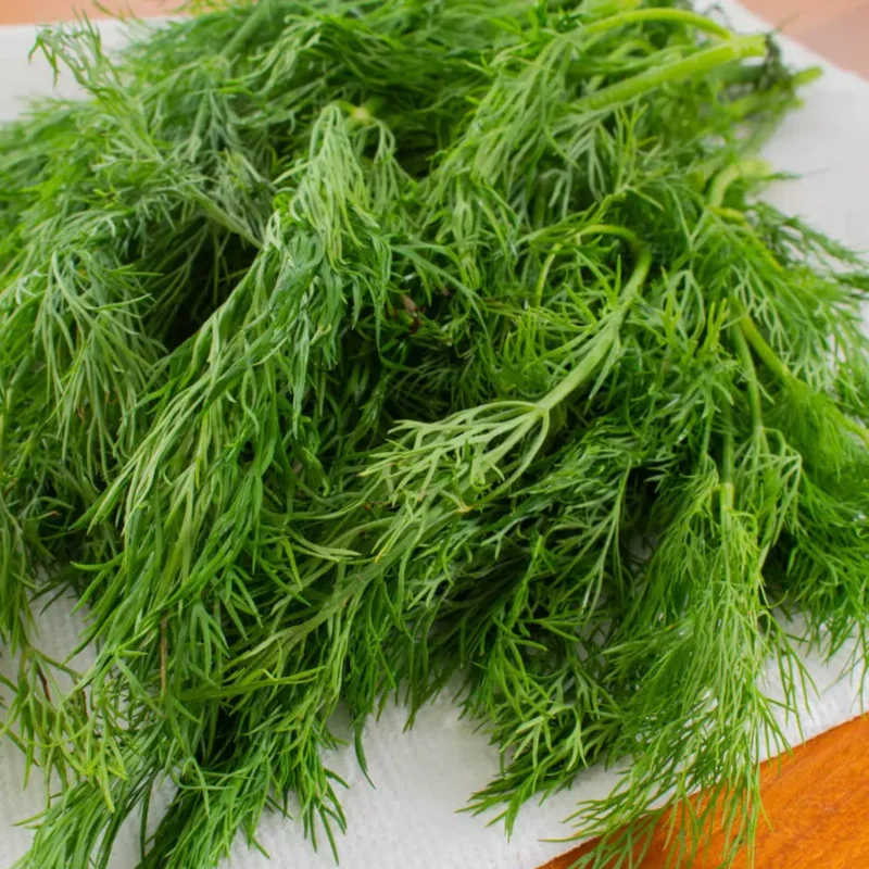 Fresh dill 1 bunch - image 3