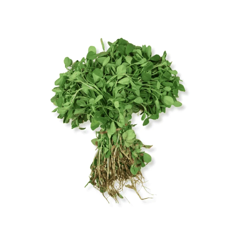 Fresh methi leaves (fenugreek) 0. 75 oz - image 3