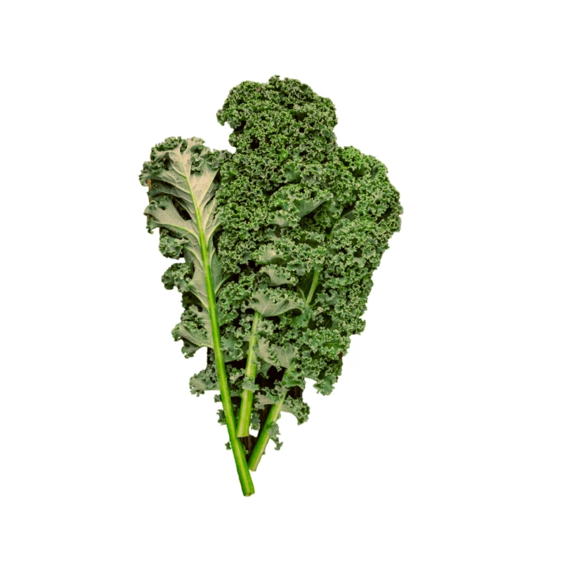 Green curly kale 1 bunch