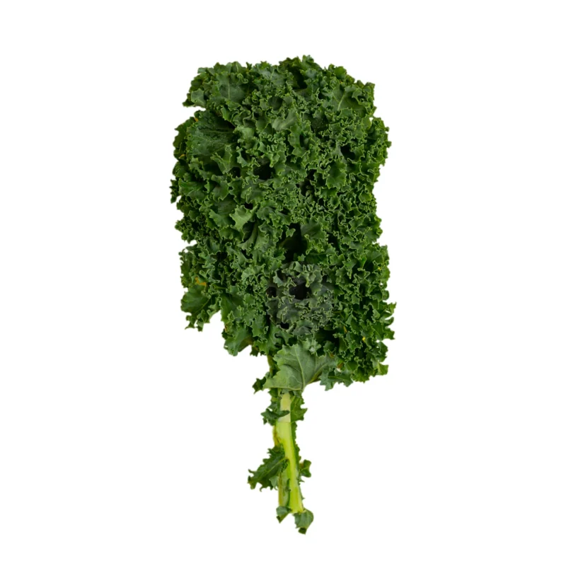 Green curly kale 1 bunch - image 2