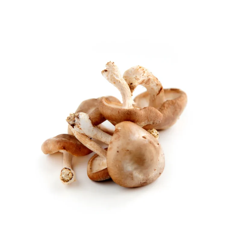 Fresh shiitake mushrooms 6 oz