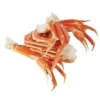 Snowcrab 9e0e484b 8579 43c7 9095 b3c34d9d10fe