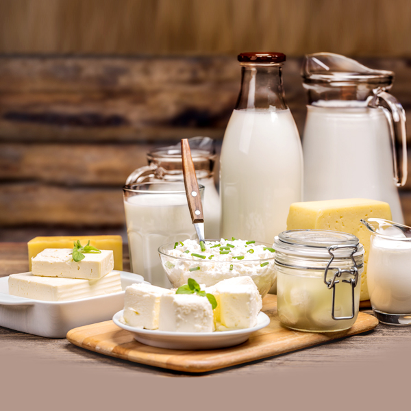 Importance of dairy products