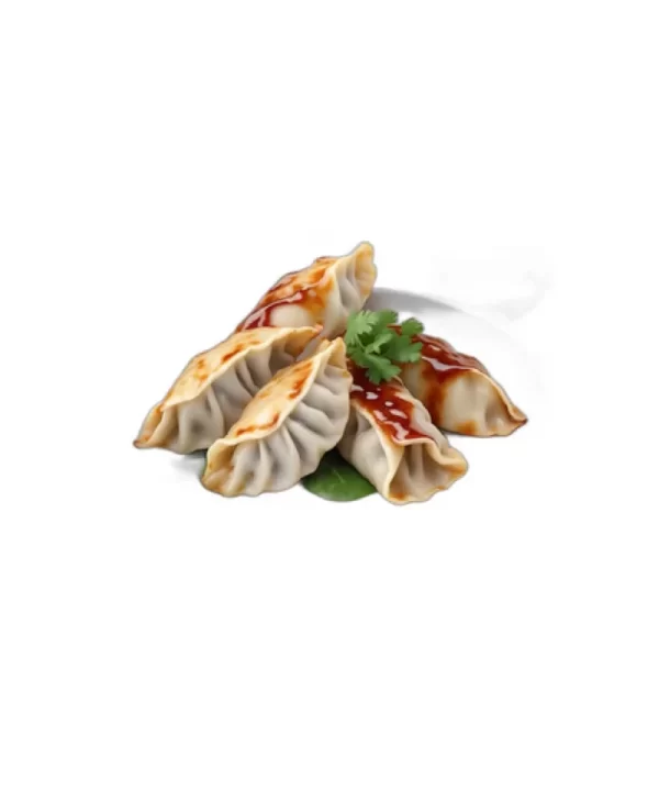 Chicken gyoza2 1