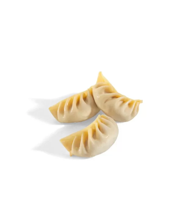 Chicken gyoza3 1