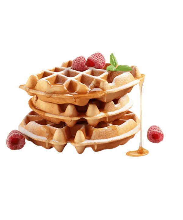 Grains waffles3 2