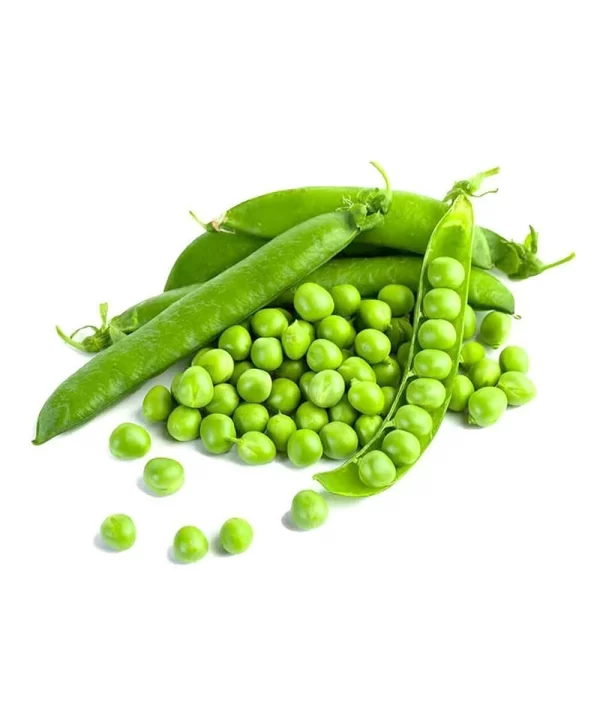 Sprouts organic green peas2