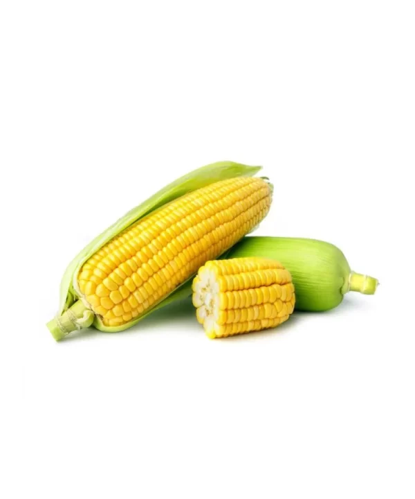 Sweet corn2