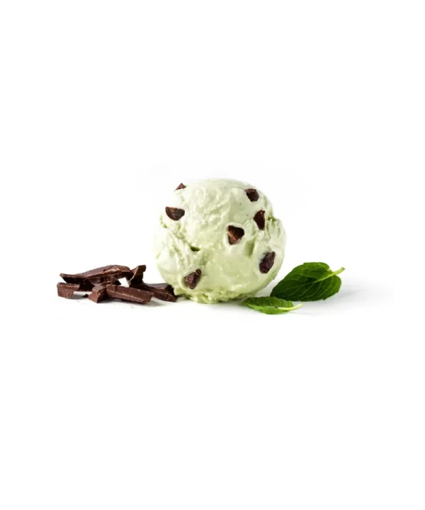 Aldens organic mint chip ice cream 1 5 qt 3