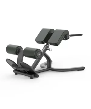 SHUA SH-G6858 Back Extension Workout Training Machines Erector Spinae Muscle Training Equipment