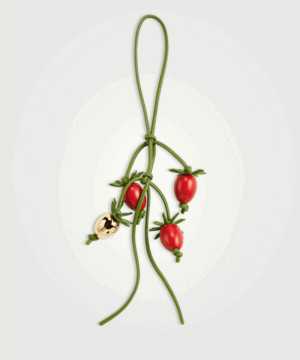 Loewe x Paula's Ibiza Tomato Vine Bag Charm